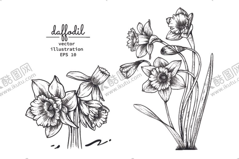 编号：89605109200911165877【酷图网】源文件下载-花卉花蕊