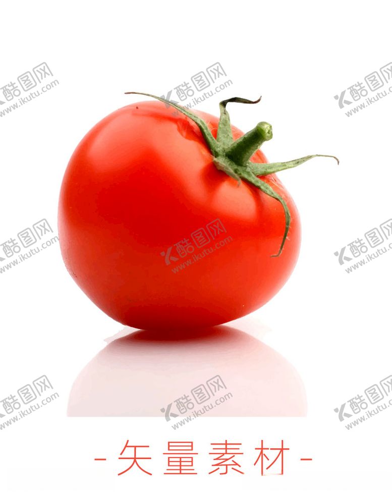 编号：39792610120535438490【酷图网】源文件下载-番茄西红柿