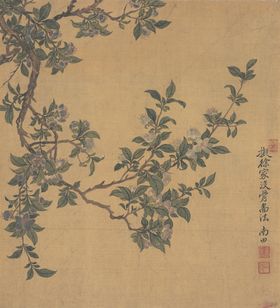 清代恽寿平花草绘画