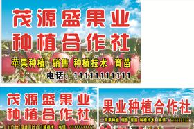苹果种植