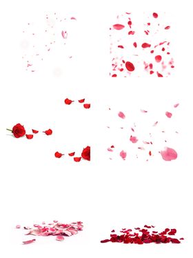 花瓣