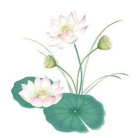 荷花背景莲小图标水彩莲水墨