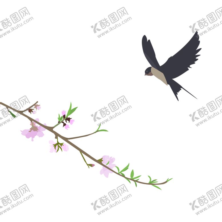 编号：41362306280321469758【酷图网】源文件下载-燕子素材