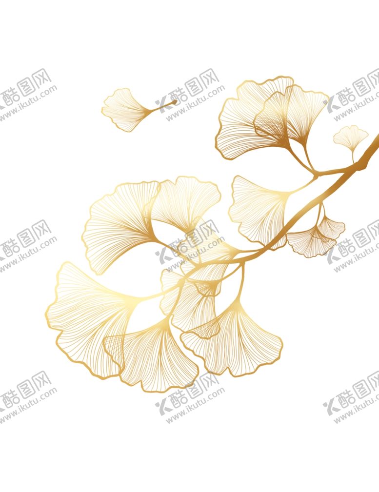 编号：52952402201509498562【酷图网】源文件下载-金色银杏叶