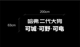 哈弗 二代大狗 立体字