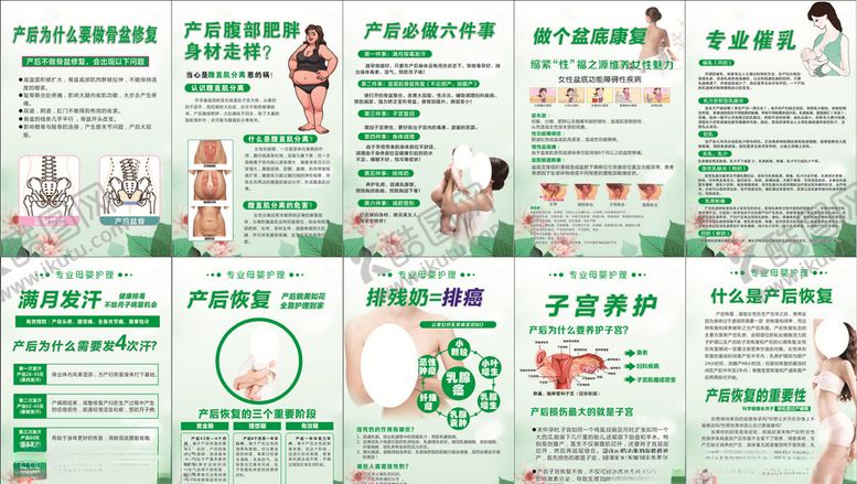 编号：57752203131121392951【酷图网】源文件下载-专业母婴护理产后恢复