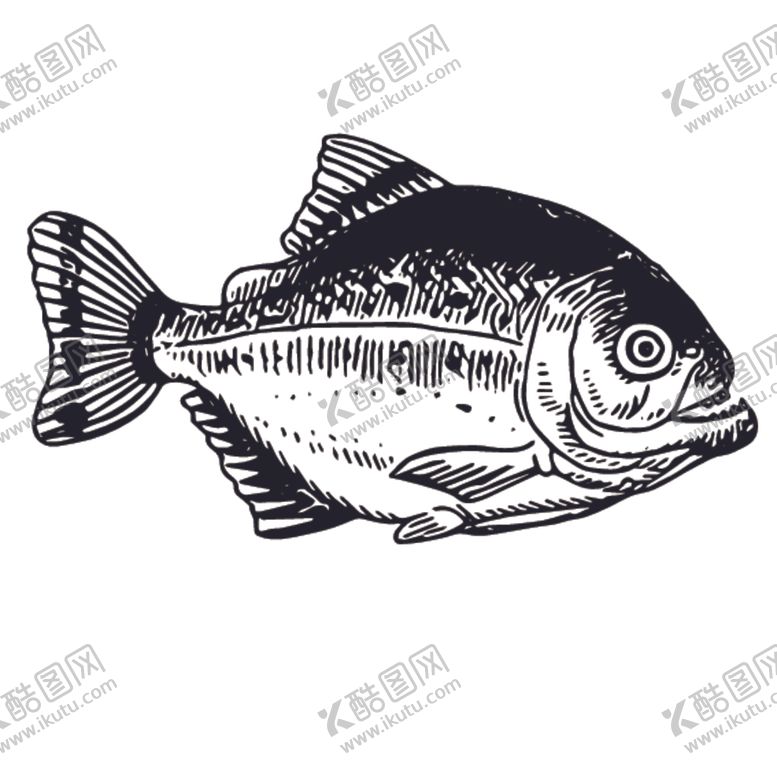 编号：18074709210557089934【酷图网】源文件下载-海洋生物鱼类图案