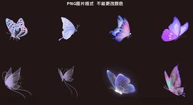 紫色蝴蝶素材