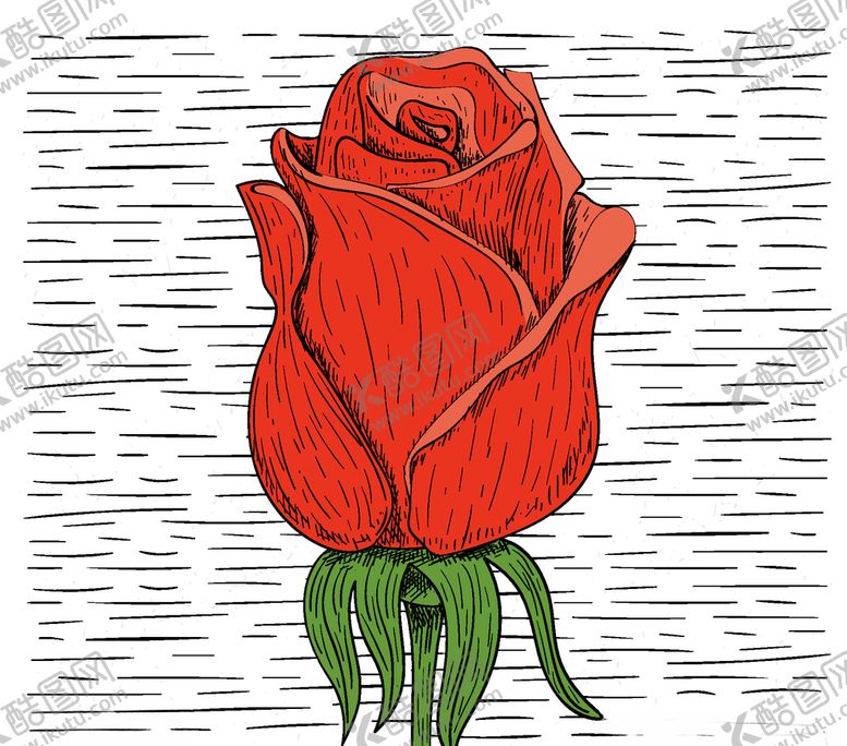 编号：40235409251727137355【酷图网】源文件下载-玫瑰插画