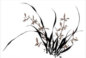 兰花
