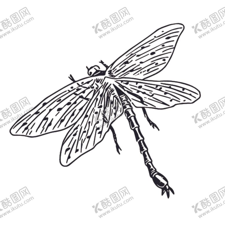 编号：76449507141311267199【酷图网】源文件下载-昆虫绘画图案