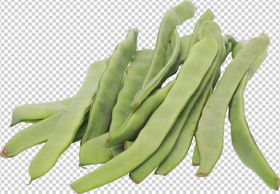四季豆