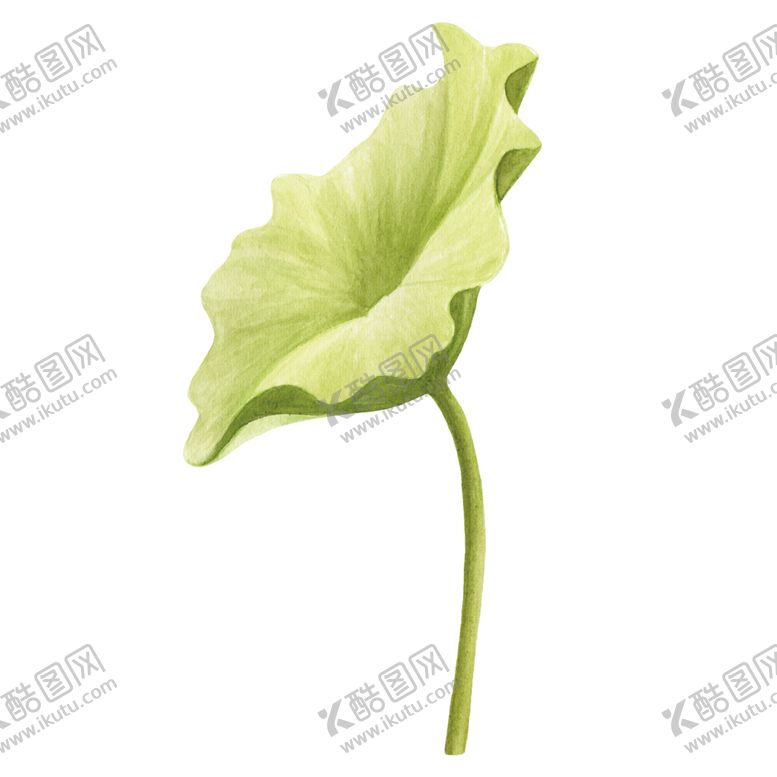 编号：76474703311136155673【酷图网】源文件下载-荷花元素