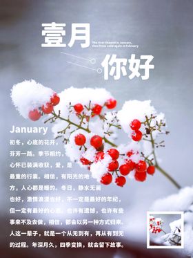 壹月你好