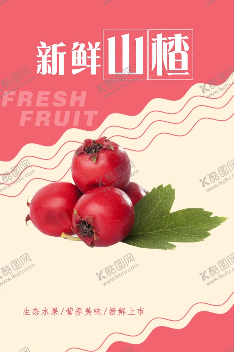 编号：74913204190336364300【酷图网】源文件下载-山楂海报