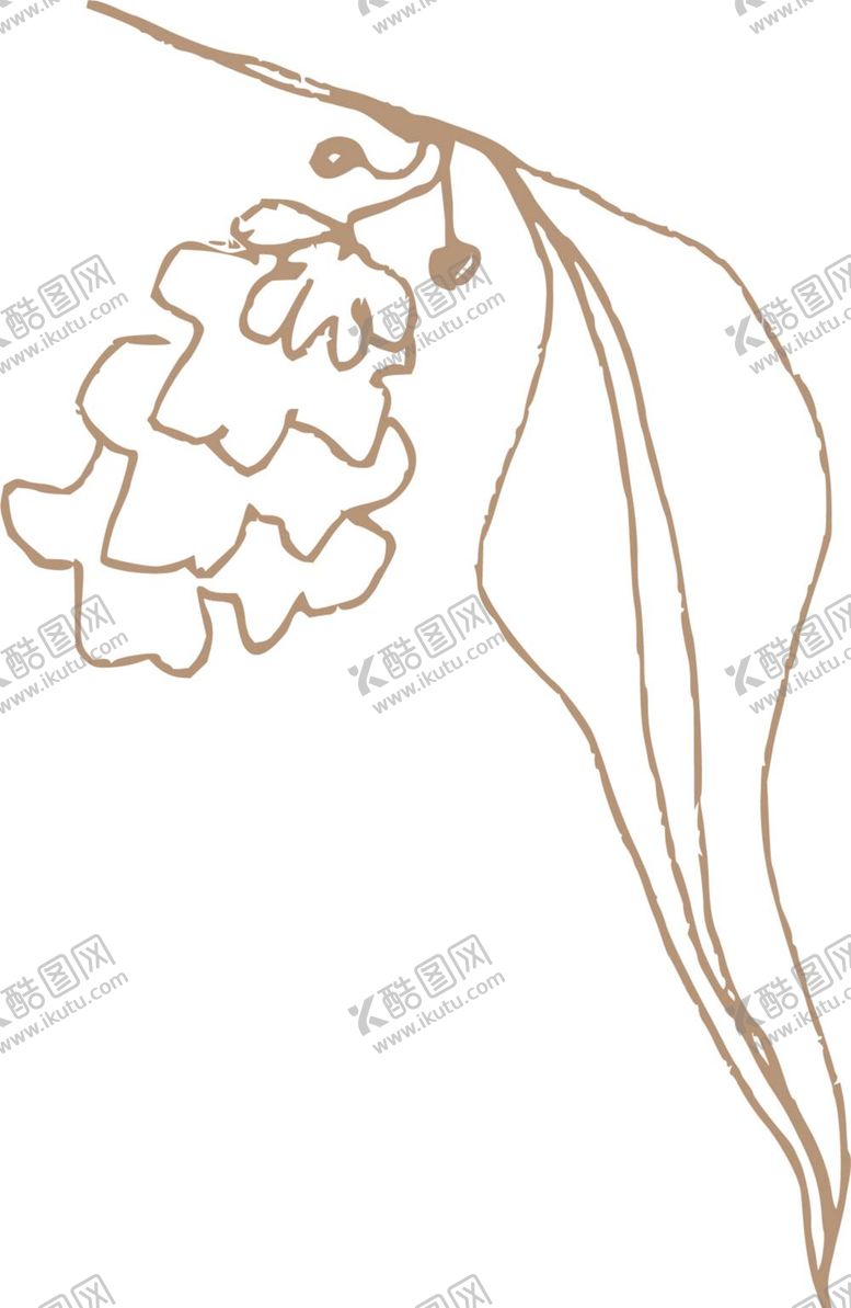 编号：81659612061308125646【酷图网】源文件下载-线条植物