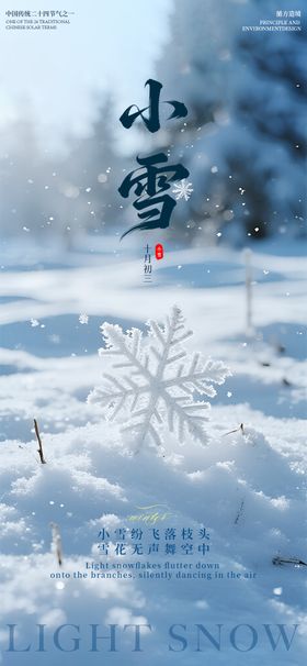 节气小雪实景枫叶海报