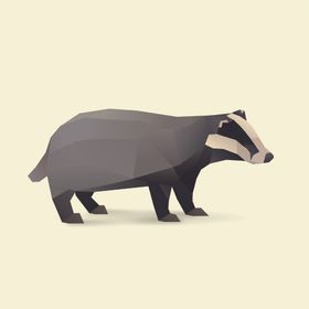 小熊猫