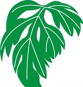 矢量手绘艾叶