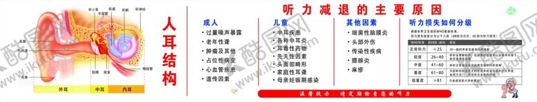 编号：36163507140613154812【酷图网】源文件下载-人耳结构