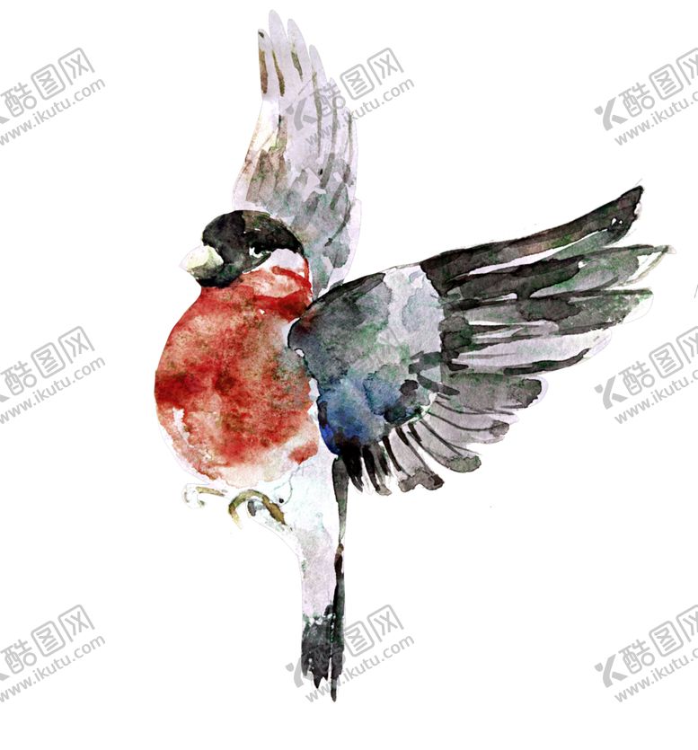 编号：75853509182155009857【酷图网】源文件下载-水彩绘画鸟儿