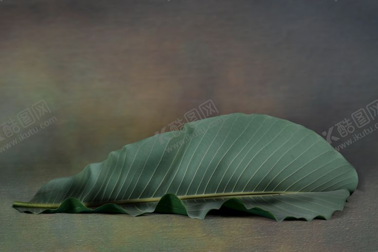 编号：59214109232307526231【酷图网】源文件下载-影楼模板