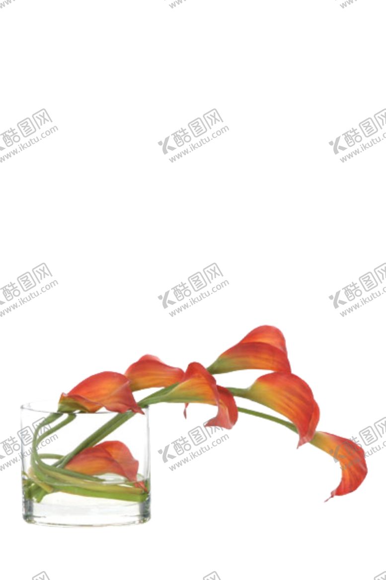 编号：32179907082113131594【酷图网】源文件下载-免抠背景花草树木