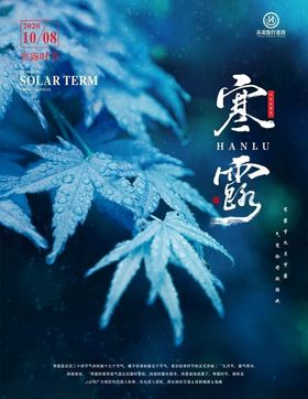 寒露海报