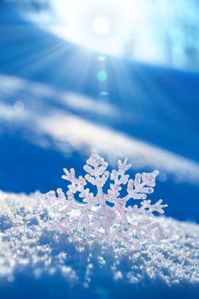 雪花与雪地背景