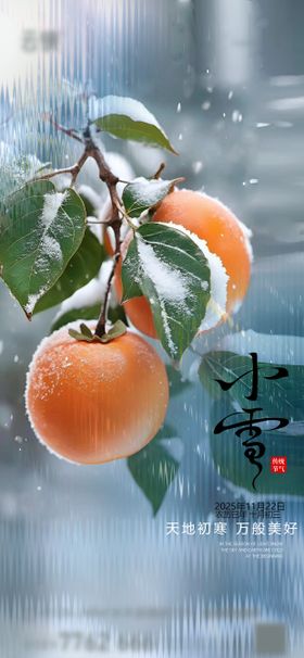 房地产小雪节气推图