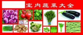 蔬菜