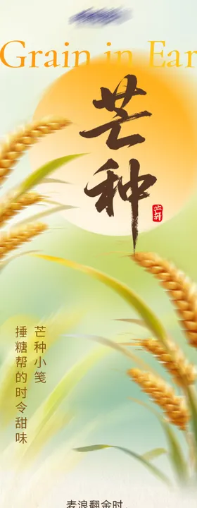 芒种节气糕点长图