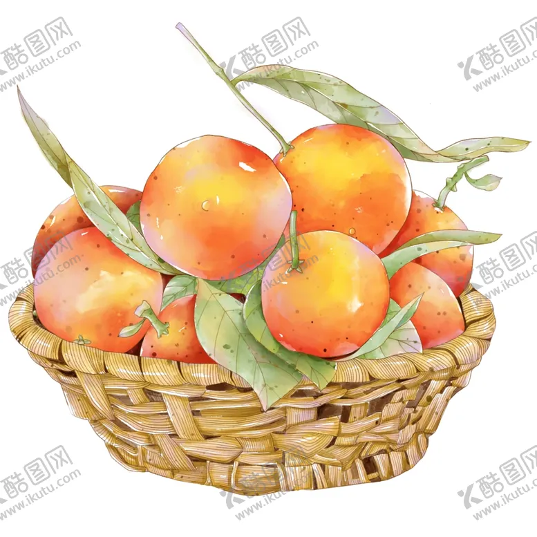 编号：65322412081821134817【酷图网】源文件下载-橘子