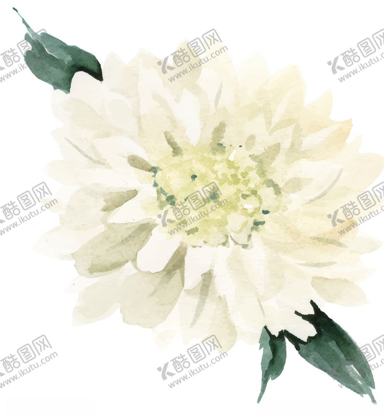 编号：46821710280040338744【酷图网】源文件下载-水彩创意花朵植物