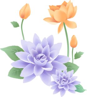 花免抠图PNG
