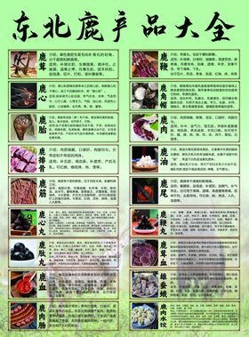 鹿产品宣传简介图版