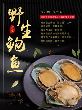 野生鲍鱼