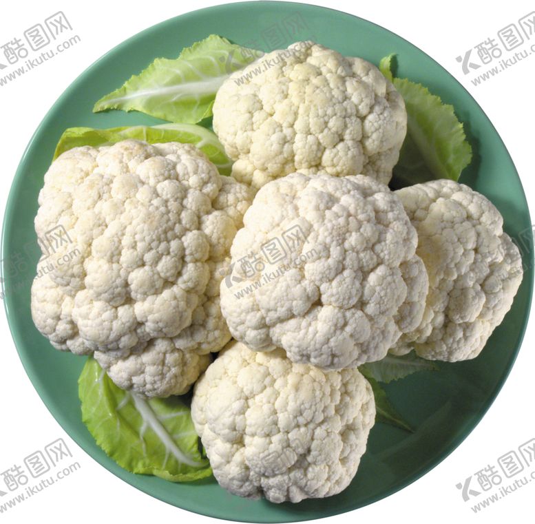 编号：93475601262019327464【酷图网】源文件下载-菜花