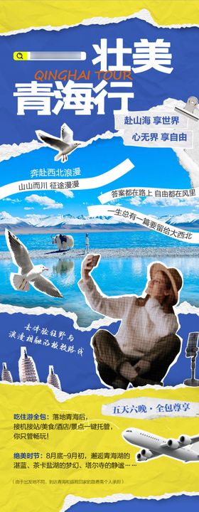 蓝色招商旅游营销青海政策长图