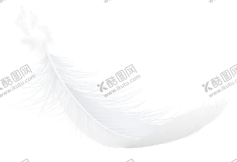 编号：34621202171525191190【酷图网】源文件下载-羽毛 素材
