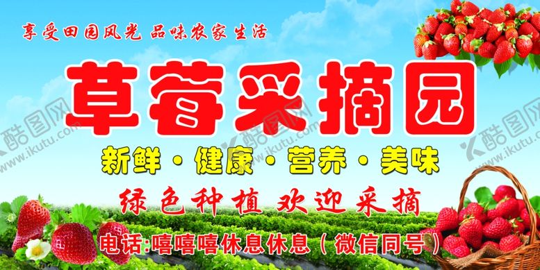 编号：56898904041300247599【酷图网】源文件下载-草莓采摘园