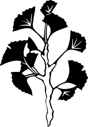 黑白手绘植物花草花瓣淡雅花草布料印花