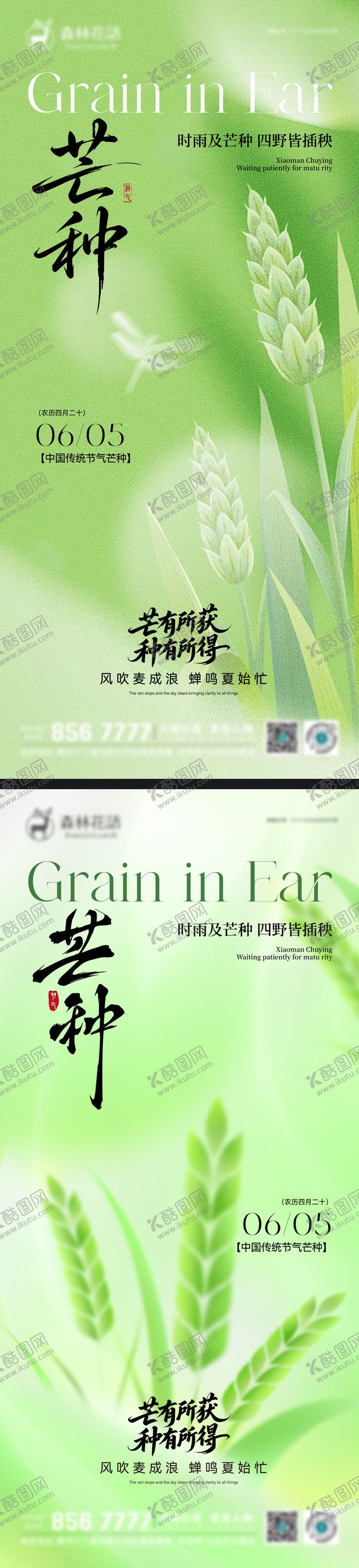 编号：25318906041622214062【酷图网】源文件下载-地产芒种节气海报