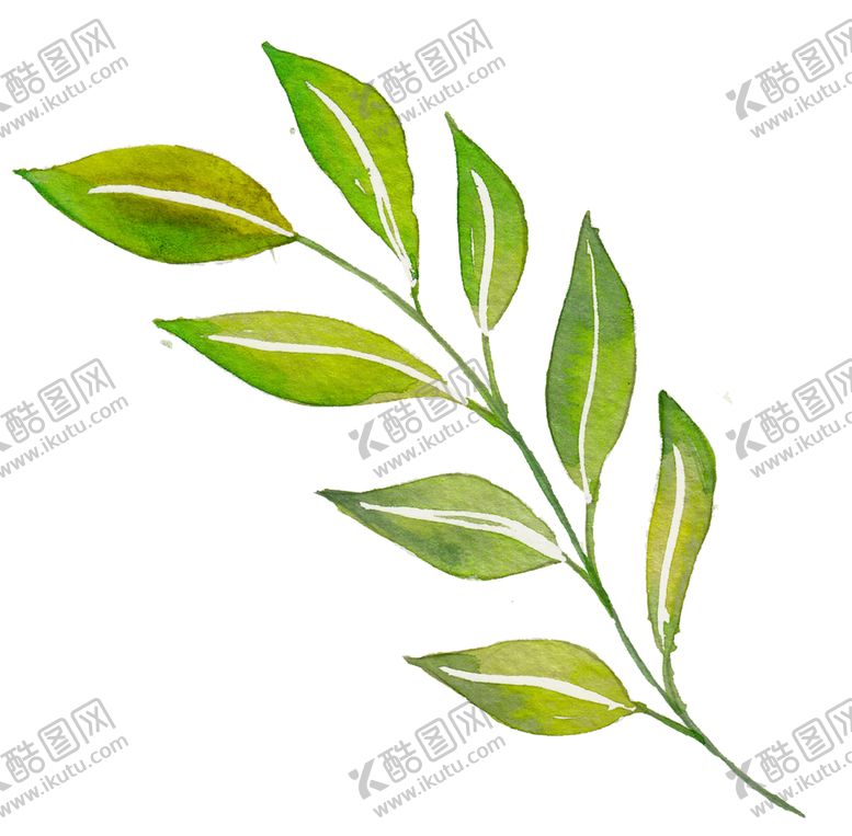 编号：37763405141643347113【酷图网】源文件下载-水彩植物