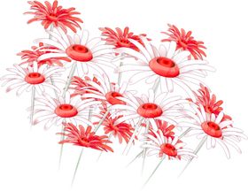 鲜花素材