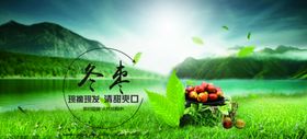 冬枣海报