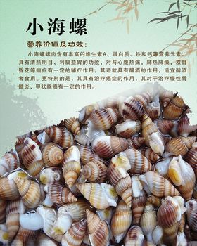 小海螺