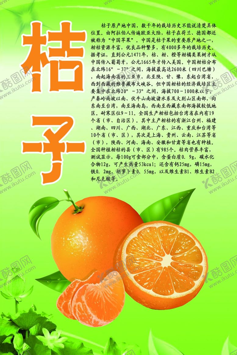 编号：79120007140733218820【酷图网】源文件下载-水果文化系列之桔子
