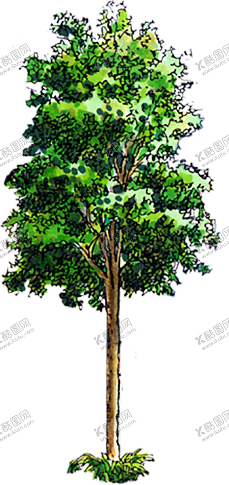 编号：95091211010414568723【酷图网】源文件下载-绿色相框