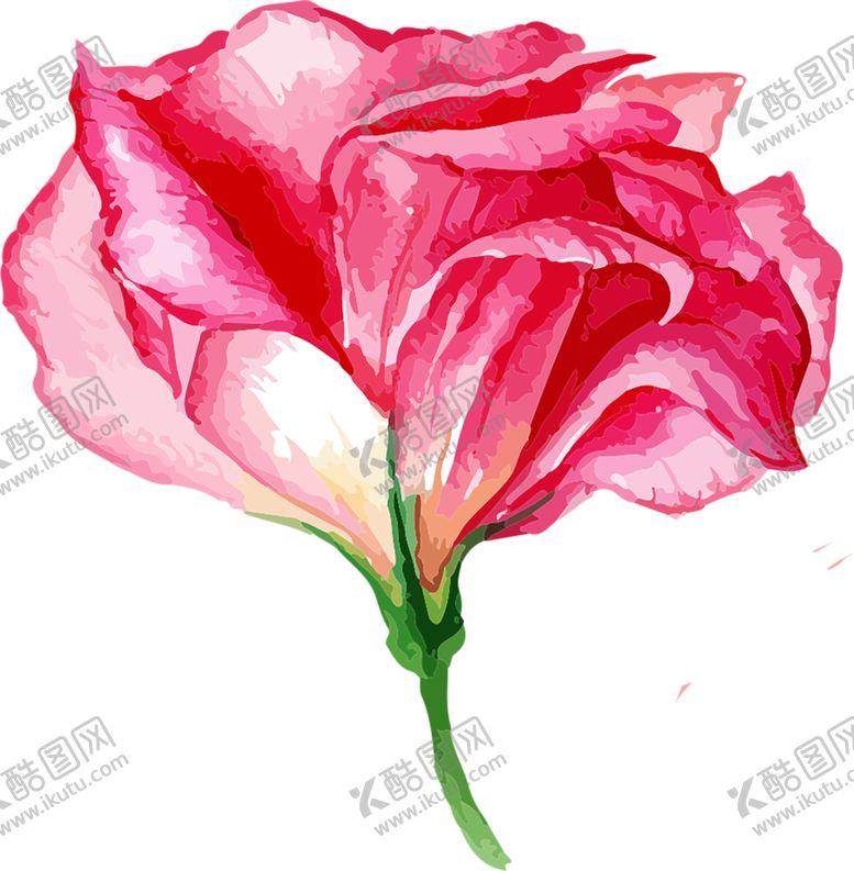 编号：73623010221300118286【酷图网】源文件下载-鲜花素材